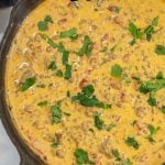 Velveeta Rotel dip