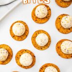 Cheeseball bites pin