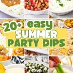 Summer dip recipes pin