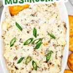 Baked mushroom dip pin