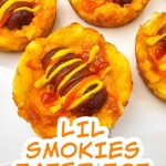 Lil smokies tater tot bites pin