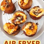 Air fryer pig shots pin