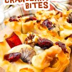 Walnut and cranberry brie bites pin