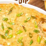 Warm crab dip pin