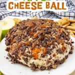 Caramel apple cheese ball pin