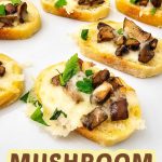 Mushroom crostini pin