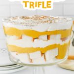 Pumpkin cheesecake trifle pin