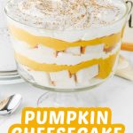 Pumpkin cheesecake trifle pin