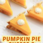 Pumpkin pie cheese and crackers pin