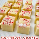 Candy cane fudge pin