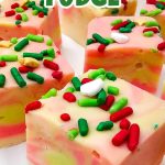 Christmas fudge pin