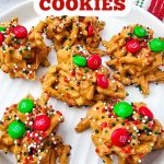Christmas haystack cookies pin