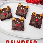Reindeer brownies pin