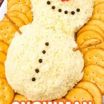 Snowman cheeseball pin