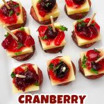 Cranberry cheese sausage skewers pin