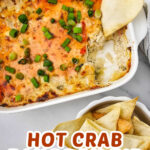 Crab Rangoon Dip pin