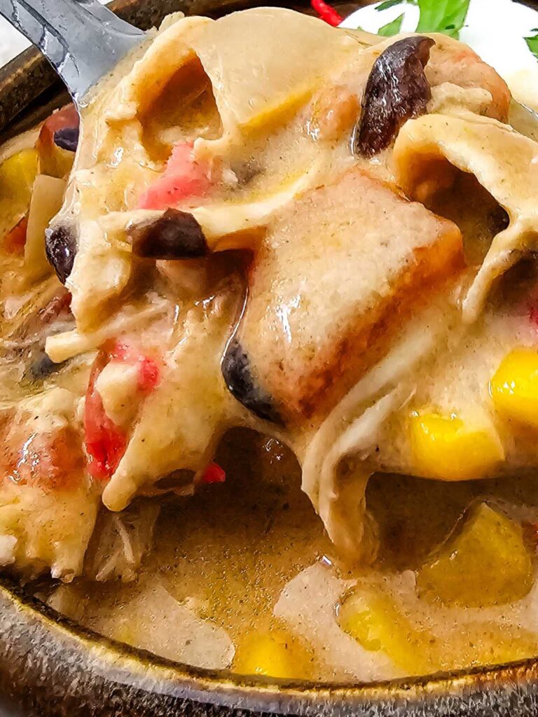 Chicken enchilada soup