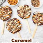 Chocolate Caramel Apple Slice Pops pin